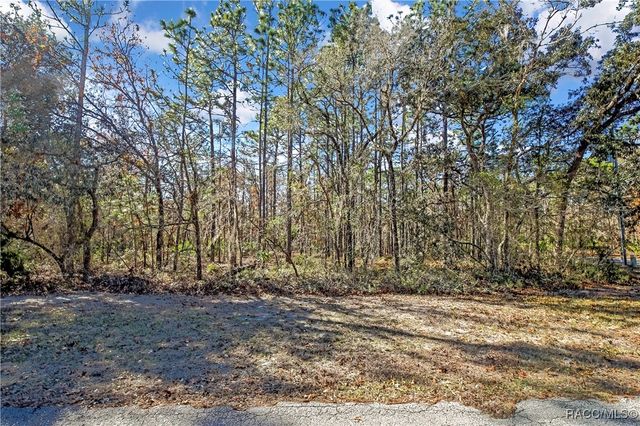 2 Portulaca Court, Homosassa, FL 34446