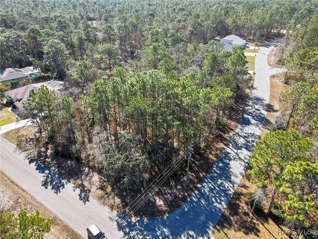 2 Portulaca Court, Homosassa, FL 34446