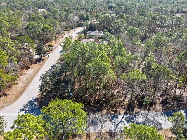 2 Portulaca Court, Homosassa, FL 34446