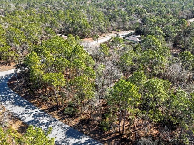 2 Portulaca Court, Homosassa, FL 34446