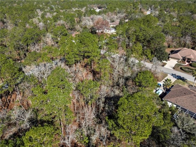 2 Portulaca Court, Homosassa, FL 34446