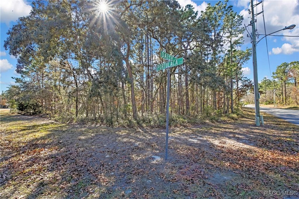 2 Portulaca Court, Homosassa, FL 34446