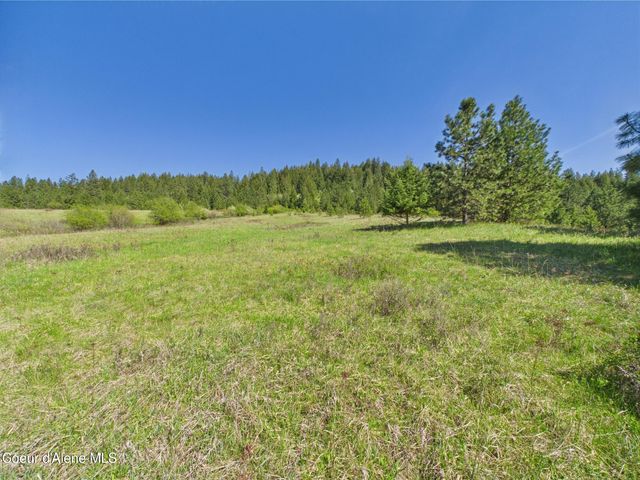 NKA S Willow Creek Rd, Medimont, ID 83842
