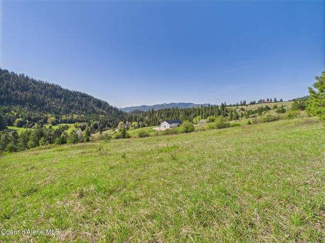 NKA S Willow Creek Rd, Medimont, ID 83842