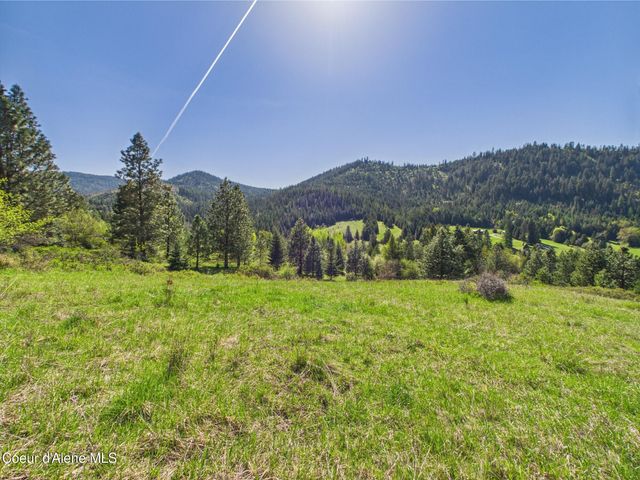 NKA S Willow Creek Rd, Medimont, ID 83842