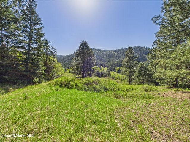 NKA S Willow Creek Rd, Medimont, ID 83842