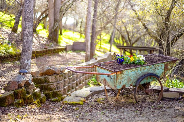 3680 Reflection Rd, Shingle Springs, CA 95682