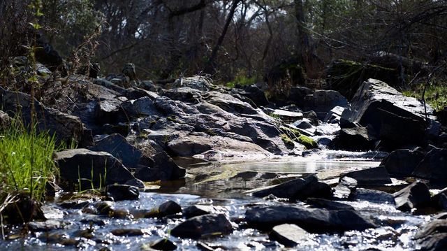 3680 Reflection Rd, Shingle Springs, CA 95682