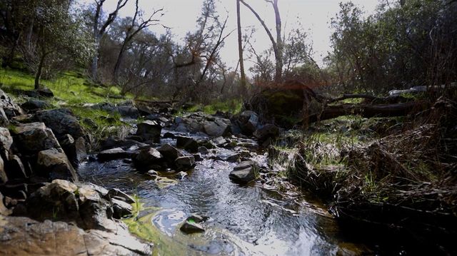 3680 Reflection Rd, Shingle Springs, CA 95682