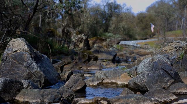 3680 Reflection Rd, Shingle Springs, CA 95682