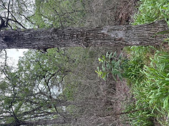 Lot 1035 Kawainui LN, Bastrop, TX 78602
