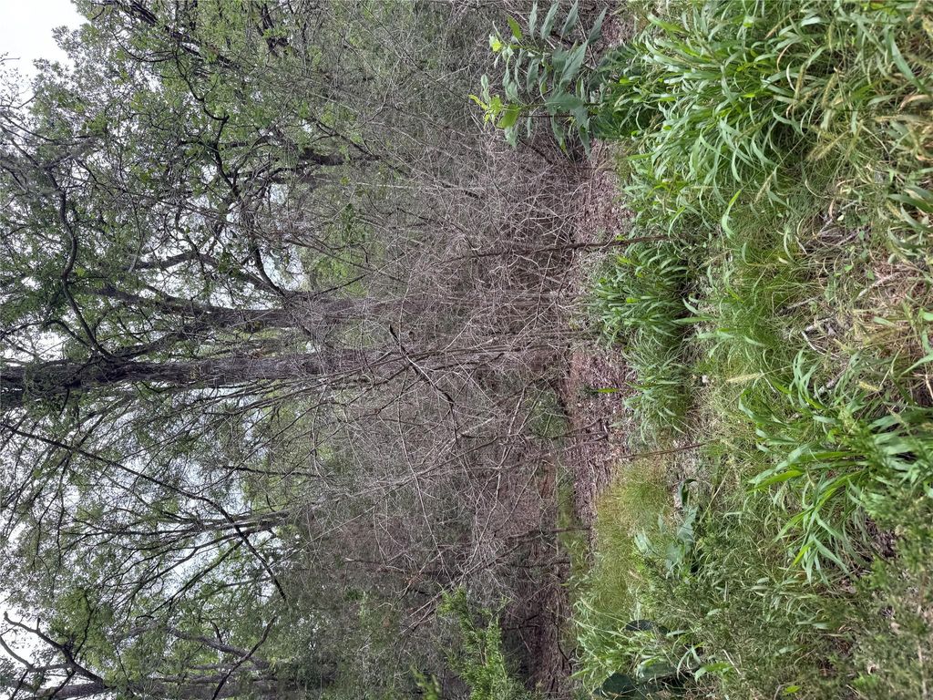 Lot 1035 Kawainui LN, Bastrop, TX 78602