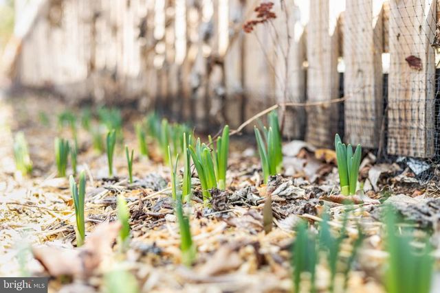 29674 OLD VALLEY PIKE, Strasburg, VA 22657