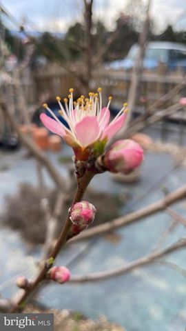 29674 OLD VALLEY PIKE, Strasburg, VA 22657