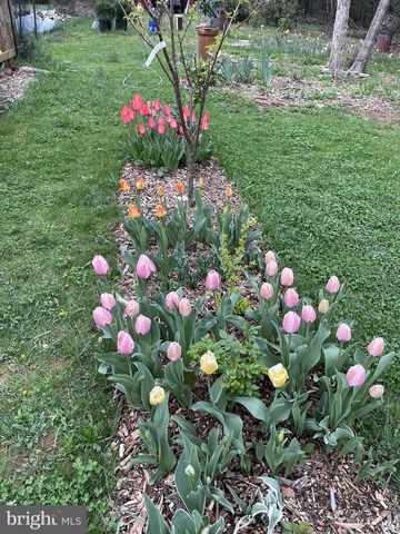 29674 OLD VALLEY PIKE, Strasburg, VA 22657