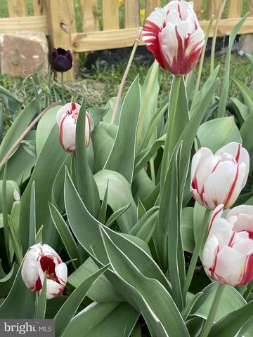 29674 OLD VALLEY PIKE, Strasburg, VA 22657