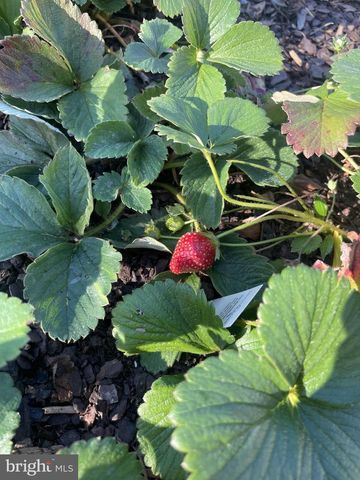 29674 OLD VALLEY PIKE, Strasburg, VA 22657