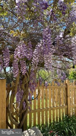 29674 OLD VALLEY PIKE, Strasburg, VA 22657