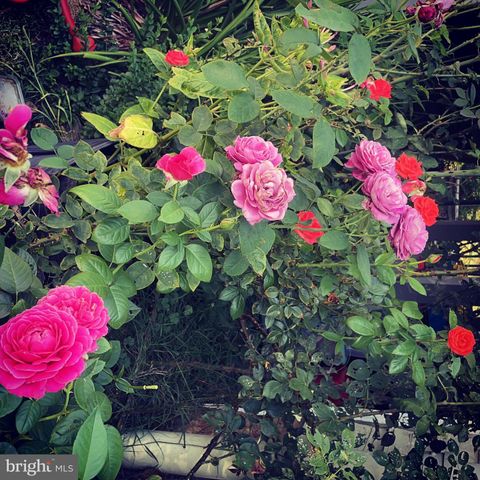 29674 OLD VALLEY PIKE, Strasburg, VA 22657