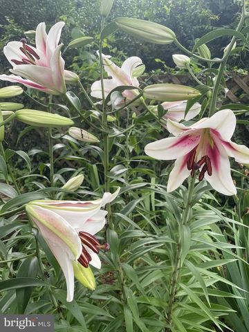 29674 OLD VALLEY PIKE, Strasburg, VA 22657