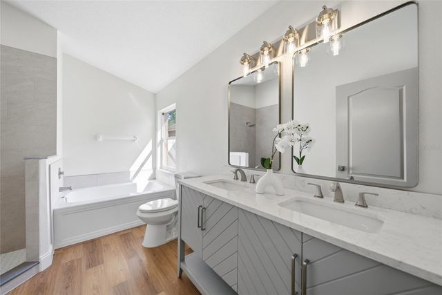 29430 SEA DAHLIA PASS, Wesley Chapel, FL 33543