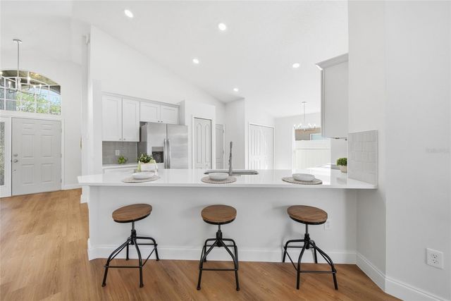 29430 SEA DAHLIA PASS, Wesley Chapel, FL 33543