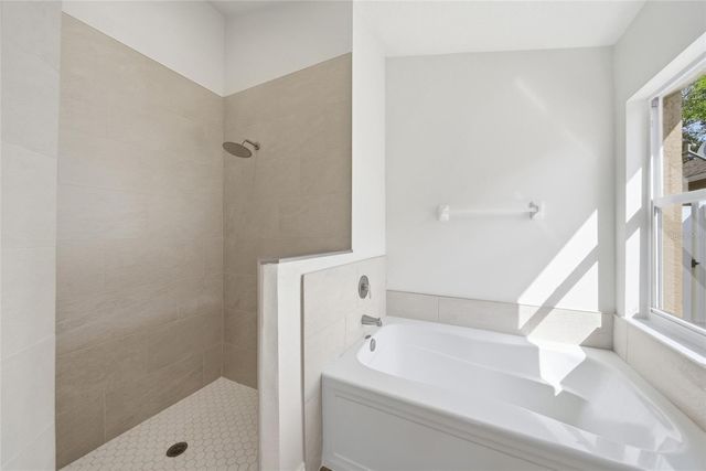 29430 SEA DAHLIA PASS, Wesley Chapel, FL 33543