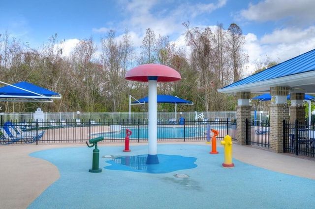 29430 SEA DAHLIA PASS, Wesley Chapel, FL 33543