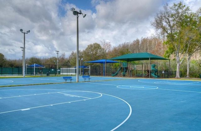 29430 SEA DAHLIA PASS, Wesley Chapel, FL 33543