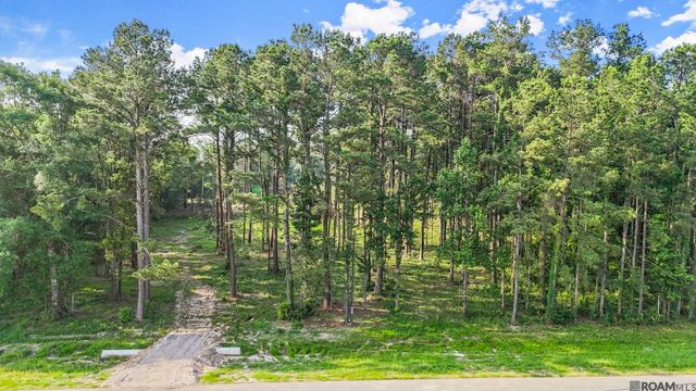 47405 La Hwy 16, Denham Springs, LA 70706