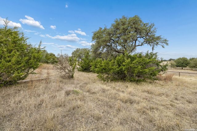 134 W Pat Dolan, Blanco, TX 78606