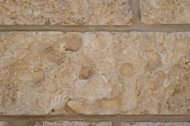 3500 Pecan Springs RD 10, Austin, TX 78723