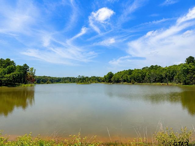 17168 Island Lake Dr, Tyler, TX 75708