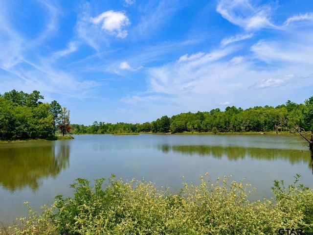 17168 Island Lake Dr, Tyler, TX 75708