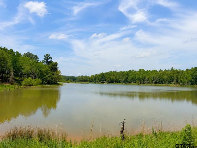17168 Island Lake Dr, Tyler, TX 75708