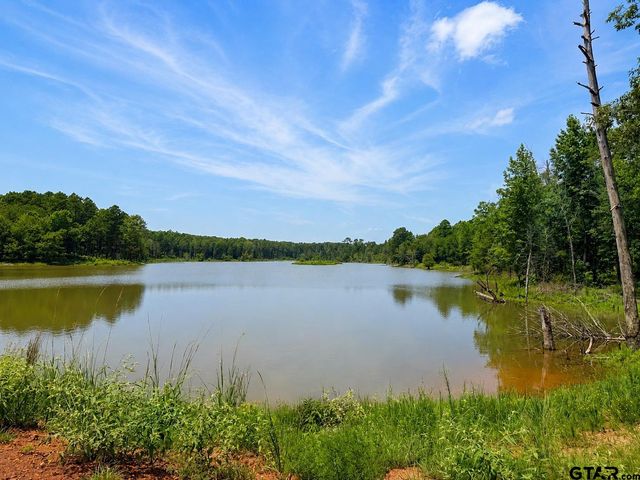 17168 Island Lake Dr, Tyler, TX 75708
