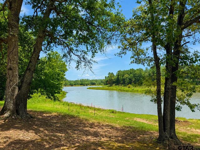 17168 Island Lake Dr, Tyler, TX 75708