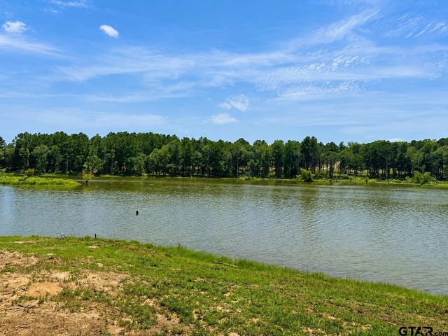 17168 Island Lake Dr, Tyler, TX 75708