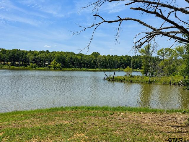 17168 Island Lake Dr, Tyler, TX 75708