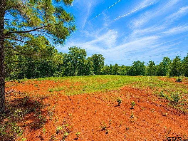 17168 Island Lake Dr, Tyler, TX 75708