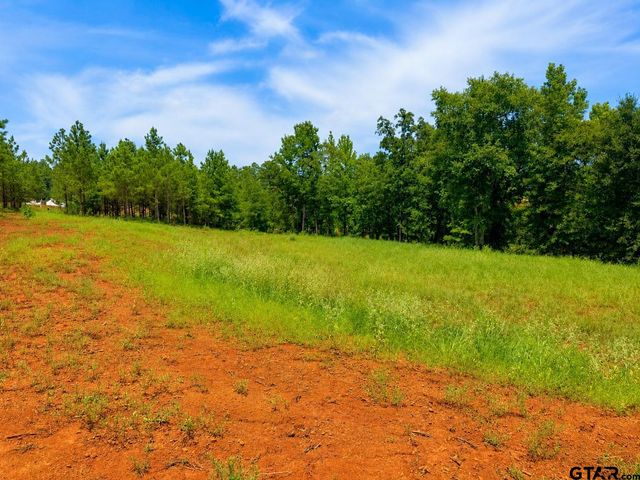 17168 Island Lake Dr, Tyler, TX 75708