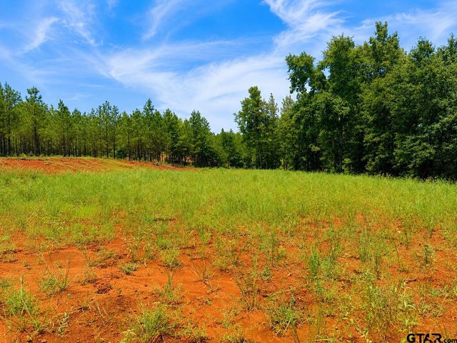 17168 Island Lake Dr, Tyler, TX 75708