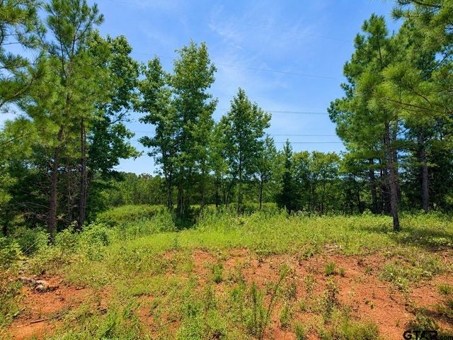17168 Island Lake Dr, Tyler, TX 75708