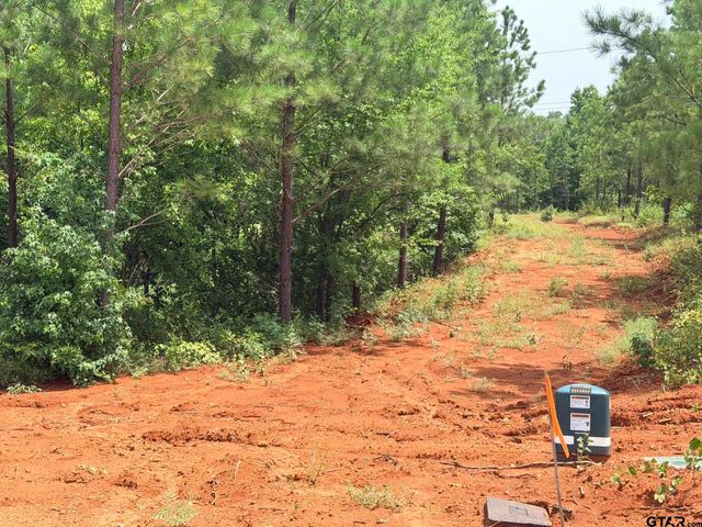 17168 Island Lake Dr, Tyler, TX 75708