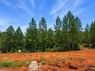 17168 Island Lake Dr, Tyler, TX 75708