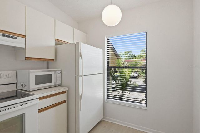 1311 POWDERPUFF DRIVE 1004, Dunedin, FL 34698