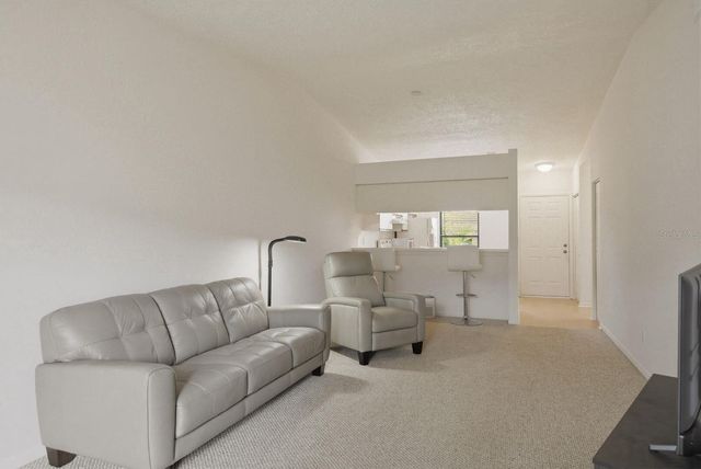 1311 POWDERPUFF DRIVE 1004, Dunedin, FL 34698