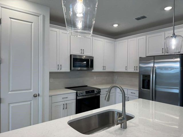 30167 RUSTIC MILL STREET, Mount Dora, FL 32757