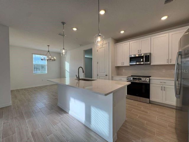 30167 RUSTIC MILL STREET, Mount Dora, FL 32757