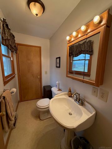 3920 Sheldon Road, Argyle Twp, MI 48472